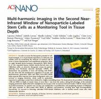 Des-nanoparticules-pour-le-tracking-cellulaire-en-microscopie-multiphotonique.jpg